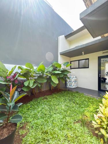 a garden with plants in the middle of a house at Rumah Mungil Nyaman in Muara