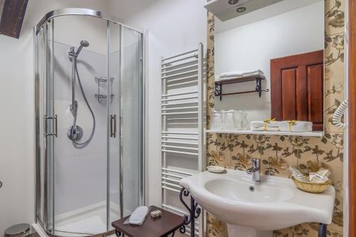 a bathroom with a sink and a shower at Taschler Haus in Sighişoara