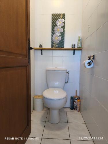 a bathroom with a white toilet in a room at Damaniel * Ze Détente * Jacuzzi* in Le Tampon
