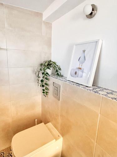 a bathroom with a toilet and a plant on a shelf at Lazaro Beach House in Faro