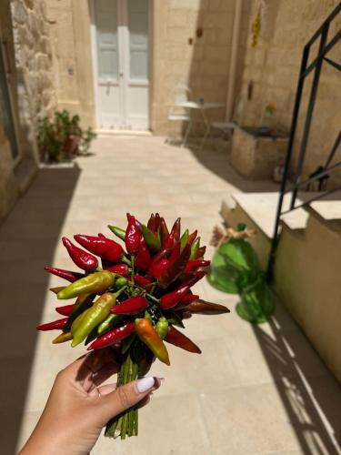 Φωτογραφία από το άλμπουμ του Palazzo Storico Riccardi Rollo σε San Cesario di Lecce