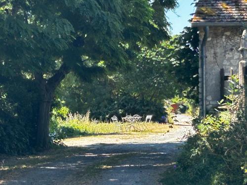 a path leading to a house with a tree and chairs at La Maison du Marinier in Crouzilles