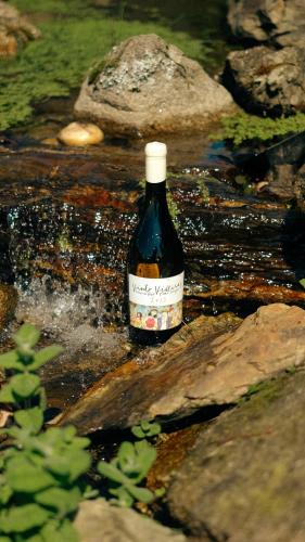a bottle of wine sitting on some rocks in the water at Vinte-Quinta da Boavista in Ponte de Lima