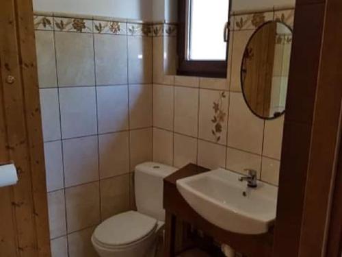 a bathroom with a toilet and a sink and a mirror at Pokoje i domki Saraceńska Chata in Stegna
