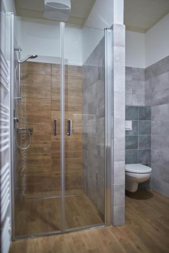 a shower stall in a bathroom with a toilet at Penzion 666 Slavonice in Slavonice