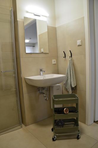a bathroom with a sink and a mirror at Ferienwohnung Mühlenanger in Quedlinburg