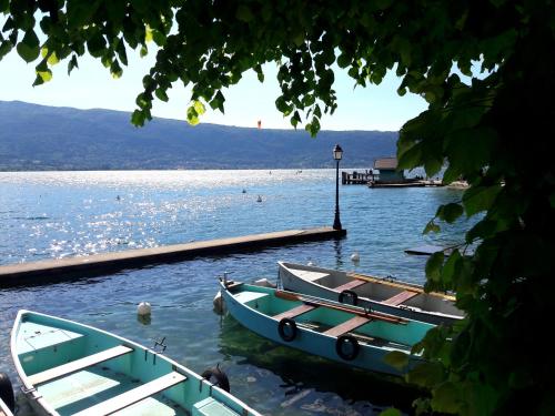 Lumineux 3 pièces à 350m du lac - Annecy quartier Imperial Plage Albigny