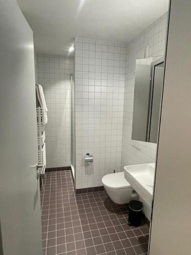 a bathroom with a toilet and a sink at La Sauvage in Fribourg
