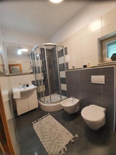 a bathroom with a shower and a toilet and a sink at Villa Lidia in Lađevci