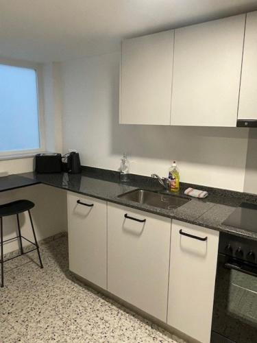 a kitchen with a sink and a counter top at La Sauvage in Fribourg
