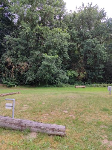 a log in a field with trees in the background at !Nur Stellplatz! Wohnwagen- & Mobil und Zelt Stellplatz "122", an der Mecklenburger Seenplatte in Fürstenberg-Havel
