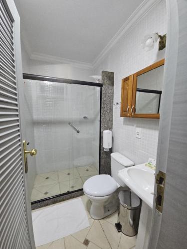 a bathroom with a shower and a toilet and a sink at Hospedaria Santiago in Teresópolis