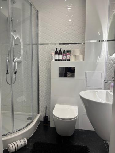 a bathroom with a shower and a toilet and a sink at Apartament Rodzinny - Classic Olszowa in Włocławek