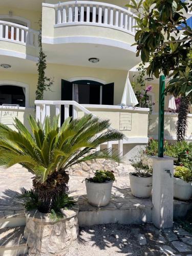 a group of potted plants in front of a building at Donilena in Duće