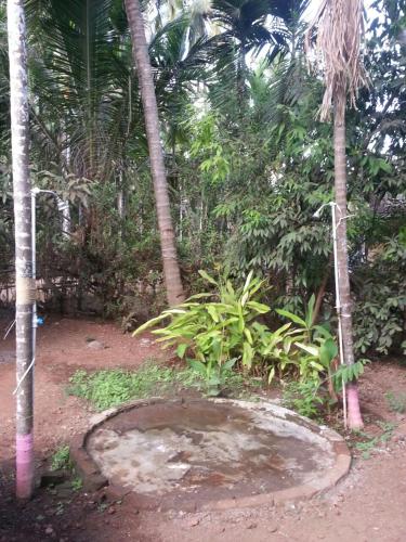 a circle in the middle of a forest with palm trees at Tendulkar Beach Resort in Diveagar