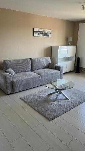 un salon avec un canapé et une table en verre dans l'établissement appartement bayonne, à Bayonne