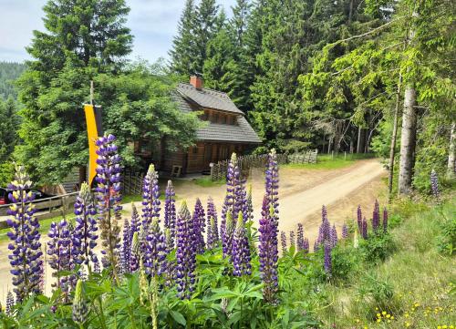 a garden of purple flowers in front of a log cabin at Almliesl STMA-666 in Sankt Margarethen im Lavanttal