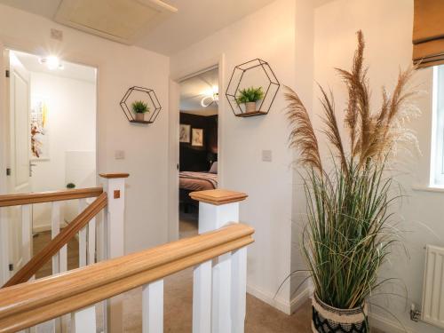 a hallway with stairs and potted plants at The Active Recovery Retreat in Stone