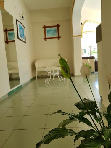 Φωτογραφία από το άλμπουμ του Palmen Apart Hotel σε Αλάγια