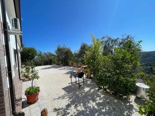 a patio with a chair and a table and trees at Villa Gargano in Vico del Gargano
