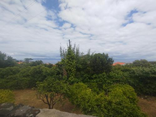 a tree sitting on top of a hill with trees at Bragada Stonehouse in São Roque do Pico