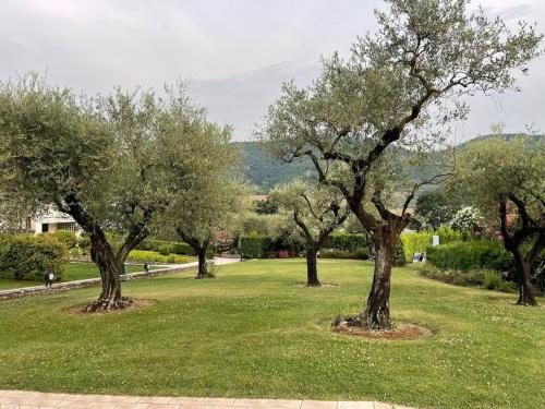 アパートメントの近くで見られる自然の景観