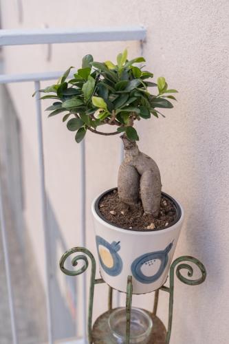 Casa Alderotti photo 34