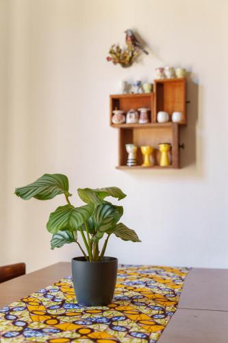 Casa Alderotti photo 14