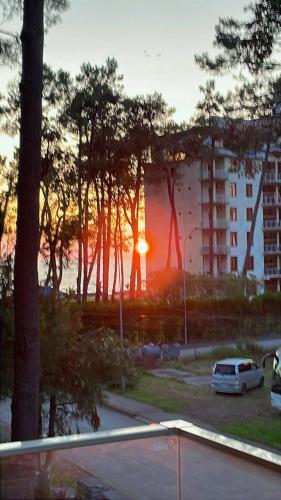 Gallery image of Shekvetili Garden Sea Apartment N9 in Shekvetili