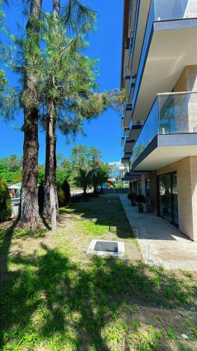 Gallery image of Shekvetili Garden Sea Apartment N9 in Shekvetili