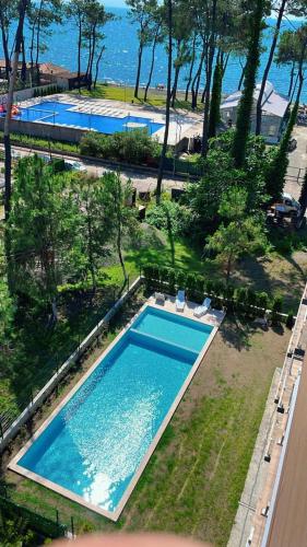 Gallery image of Shekvetili Garden Sea Apartment N9 in Shekvetili
