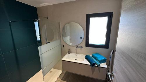 une salle de bain avec un lavabo, un miroir et une douche dans l'établissement Un air de paradis à Corbara, à Corbara