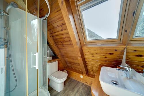 a bathroom with a toilet and a shower and a sink at Arties Luxury Apartments - parking a pie de pistas Val de Ruda in Arties