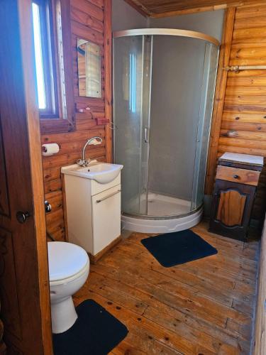 a bathroom with a shower and a toilet and a sink at Buitehof Gasteplaas in Stewartby