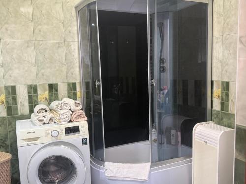 a washing machine in a bathroom with a shower at Vila ,Квартира на земле с террасой in Chişinău