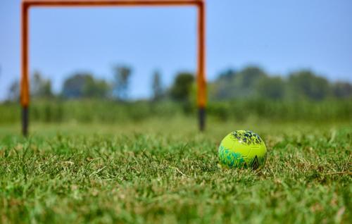 a green soccer ball sitting in the grass in front of a goal at Villa 77 by Villas Guide in Sisak