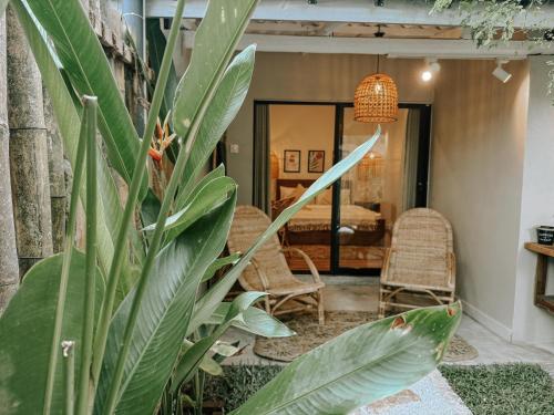 a room with two chairs and a plant at Kickin' Surf Lodge in Weligama