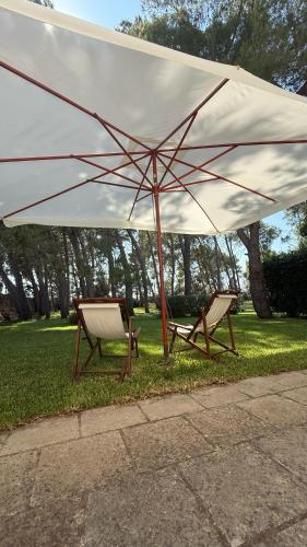 Φωτογραφία από το άλμπουμ του Masseria Frassaniti σε Veglie