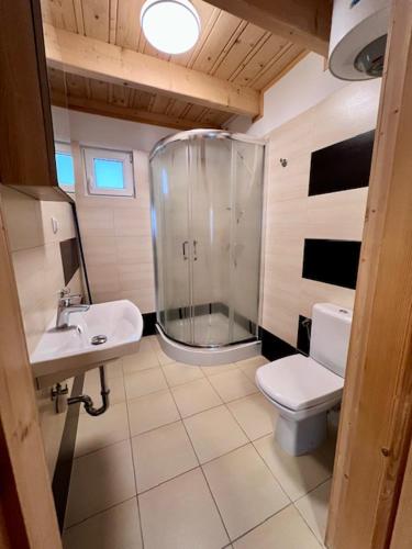 a bathroom with a shower and a toilet and a sink at Domki letniskowe Azalia in Ustronie Morskie
