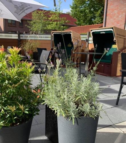 a group of potted plants on a patio at Hotel Stadt Aurich in Aurich