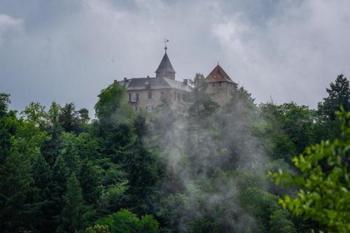 Φωτογραφία από το άλμπουμ του Schwarzwaldpanorama Schlossblick σε Gernsbach