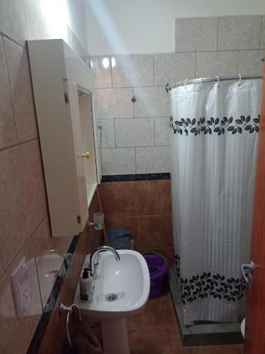 a bathroom with a sink and a shower curtain at La Torre Departamento in Caleta Olivia