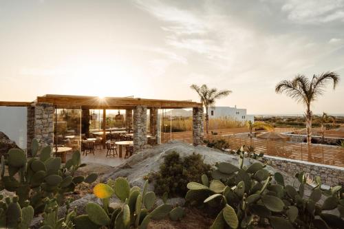 Billede fra billedgalleriet på Cocopalm Villas Naxos i Naxos Chora