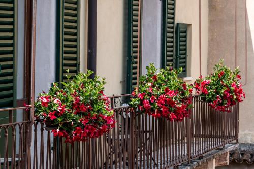 Giardino di PALAZZO RISTORI