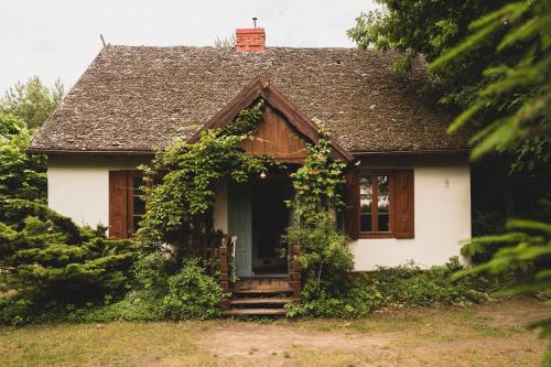 Imagen de la galería de AŻ POD LAS, en Zbiczno