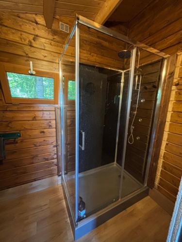 a shower in a cabin with a glass door at Gite Clé des Champs in Montenois