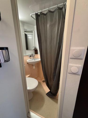 a bathroom with a toilet and a sink at Le Velvet - Plein centre Vannes in Vannes