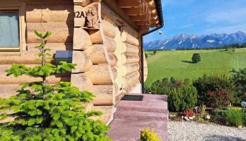 Domki Góralskie Dwa Misie