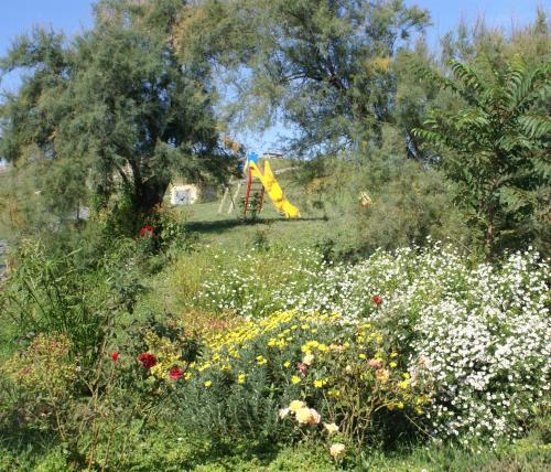 a field of flowers with a playground in the background at Agriturismo Pelagaccio in Peccioli