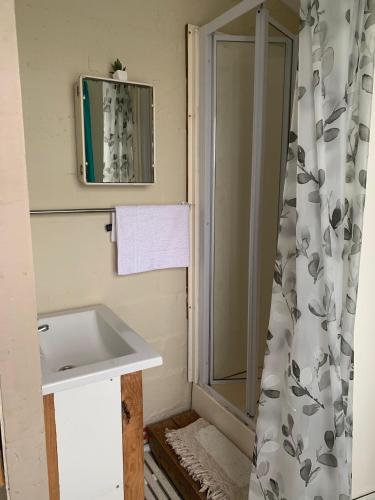 a bathroom with a sink and a shower at Venolla's in The Crags